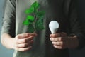 Hand holding led light bulb and eco tree leaf. Green energy Royalty Free Stock Photo