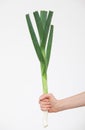 Female hand holding a leek