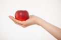 Female hand holding a nectarine Royalty Free Stock Photo