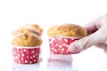 A female hand holding one of homemade cupcakes on a white background, close up ,isolated