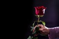 Female hand holding red rose. Woman with rose on black with copy space Royalty Free Stock Photo