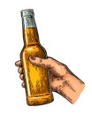 Female hand holding open bottle beer. Color vintage engraving vector illustration Royalty Free Stock Photo