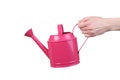 Hand holding pink watering can Royalty Free Stock Photo