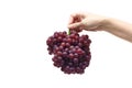 Purple seedless grapes