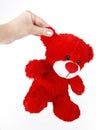 Female hand holding a red teddy bear Royalty Free Stock Photo