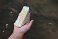 Female hand holding sandwich bread Popular breakfast Royalty Free Stock Photo