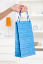 Female hand holding shopping bag Royalty Free Stock Photo