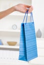 Female hand holding shopping bag Royalty Free Stock Photo