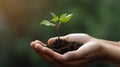 Environment Earth Day In the hands of trees growing seedlings. Bokeh green Background Female hand holding tree generative ai