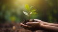 Environment Earth Day In the hands of trees growing seedlings. Bokeh green Background Female hand holding tree generative ai