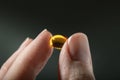 Female hand holding a small yellow capsule of nutritional supplement. Food supplement, vitamin D, omega, vitamin C.