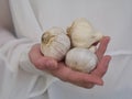 A female hand holding three white garlics