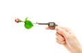 Female hand holding a tiny revolver with a red rose in the barrel Royalty Free Stock Photo