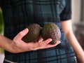 A female hand holding two avocados