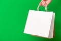 Female hand holding two shopping bags isolated on green background. White and brown craft blank paper bags in hand Royalty Free Stock Photo