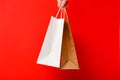 Female hand holding two shopping bags isolated on red background. White and brown craft blank paper bags in hand. Black Royalty Free Stock Photo