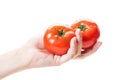 Female hand holding two tomatoes on white background Royalty Free Stock Photo
