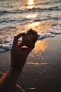 Female hand holds a big seashell at sunset on the beach. Royalty Free Stock Photo