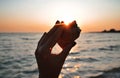 Female hand holds a big seashell at sunset on the beach. Royalty Free Stock Photo