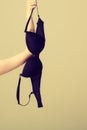 Female hand holds black bra Royalty Free Stock Photo