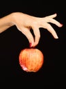Female hand holds fresh fruit isolated on black background. Royalty Free Stock Photo