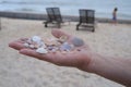 Female hand holds many different seashells on the palm on the background of the sandy beach with two sunbeds and child. Royalty Free Stock Photo