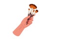 Female hand holds set of makeup brushes.vector illustration isolated