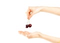 The female hand holds two red cherry berries. Isolated on white Royalty Free Stock Photo