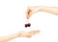 The female hand holds two red cherry berries. Isolated on white Royalty Free Stock Photo