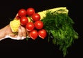Female hand holds vegetables and bunch of dill