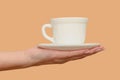 A female hand holds a white cup and saucer. Minimalism. Close-up.