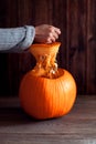 A female hand lifting the top part of a freshly cut, orange pumpkin, cutting a pumpkin to halloween