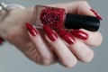 Female hand with long nails and a bright red manicure Royalty Free Stock Photo