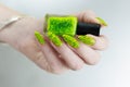 Female hand with long nails and a bright yellow green neon manicure Royalty Free Stock Photo