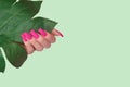 Female hand with long pink nail polish. Nail design in pink shade. Women hand with long manicure and green plant on green