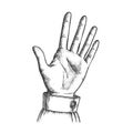 Female Hand Make Gesture Five Fingers Up Vector Royalty Free Stock Photo