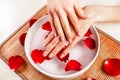 Female hand with natural beige color in white bowl with red rose petal and water Royalty Free Stock Photo