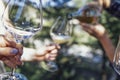 A female hand with a neat manicure holds an empty elegant glass on a long stem waiting for champagne Royalty Free Stock Photo