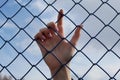 Female hand through the net Royalty Free Stock Photo