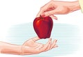 Female hand offering an apple to another hand.