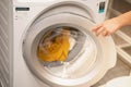 Female hand opening the washing machine prepare wash the .clothes, for the hygience and cleaning. Royalty Free Stock Photo