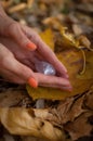 Female hand with orange manicure holding transparent violet amethyst yoni egg for vumfit, imbuilding or meditation on Royalty Free Stock Photo