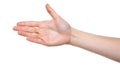 Female hand outstretched for a handshake