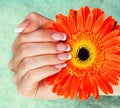 Female hand with perfect french manicure Royalty Free Stock Photo