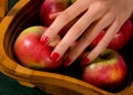 Female hand picking apple Royalty Free Stock Photo