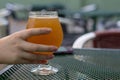 Female hand picking up her beer from a table