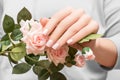 Female hand with pink nail design. Female hand hold pink rose flowers. Pink nail polish manicure with flower nail art Royalty Free Stock Photo