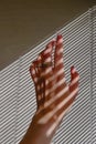 Female hand with pink nail polish and decorative rings in natural sunlight with shadows