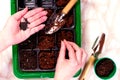 Female hand planting seed in soil Royalty Free Stock Photo