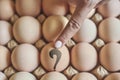 Hand points to egg. Gender or Sex selection Royalty Free Stock Photo